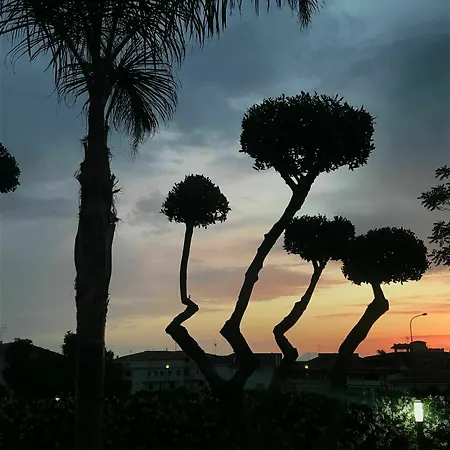 Apartment Sunrise Tropea